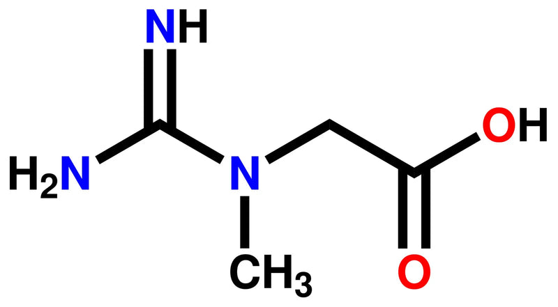 Creatine Isn't Just for the Gym Anymore